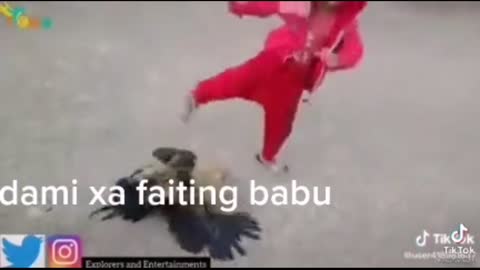 funny Beby boy fight with cock