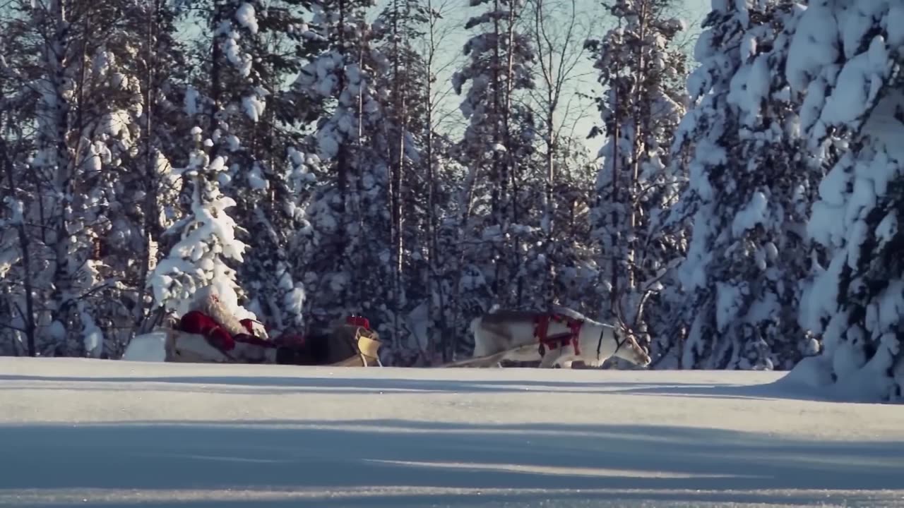 Santa Claus for kids 🦌🎅 Best reindeer rides of Father Christmas in Lapland Finland for children