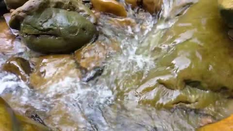 Relaxing Sleep Music | Sleep Music, Water Sounds, #relaxingmusic, #meditationmusic