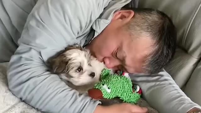 Whose cutie is this?