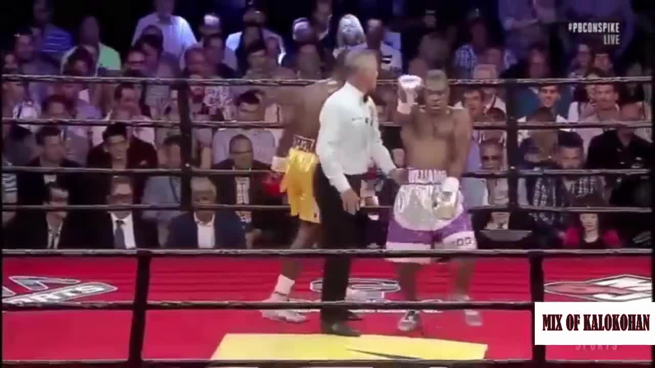 Funny Moments In boxing and knockouts