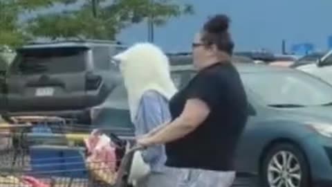 The Future Is In Trouble ( Furry At Walmart )