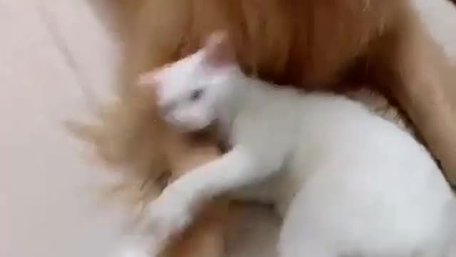 .