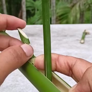 Bamboo Art Check #rumble #bambooart