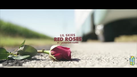 Lil Skies - Red Roses ft. Landon Cube (Official Music Video)