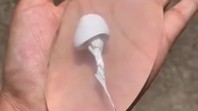 Oddly satisfying video