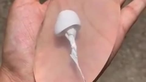 Oddly satisfying video