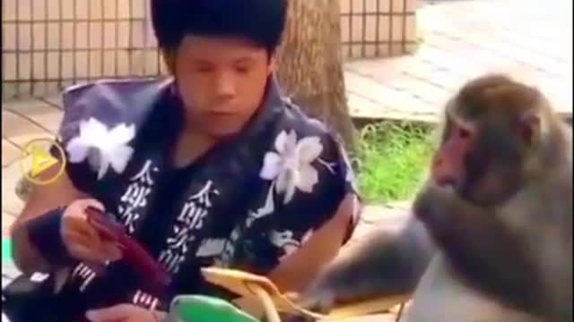 The intelegent monkey says something and listening some thing