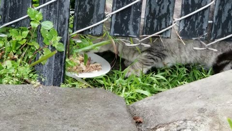 20240214 154032 Birthday Eating Rainy