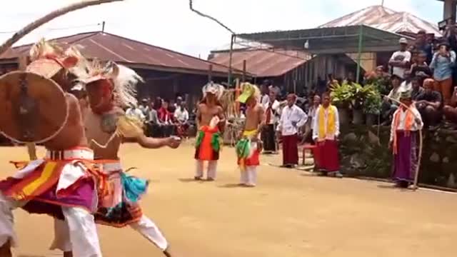 Caci dance: tradisional fighting performance