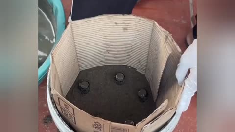 Amazing idea's