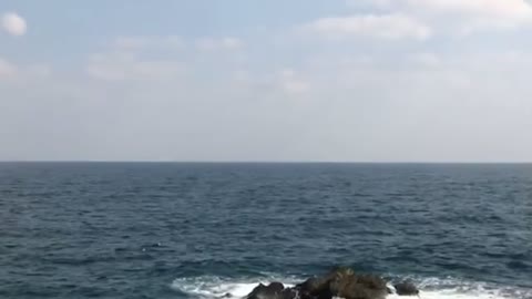 Korea's wonderful sea