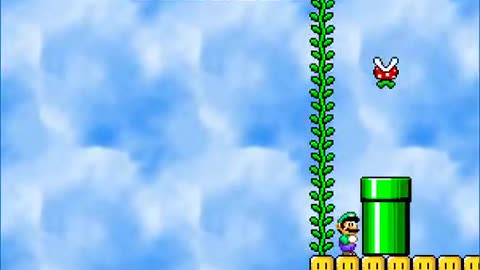 Luigi's Big Adventure