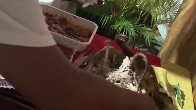 lechon kinawawa😂😂🤣🤣