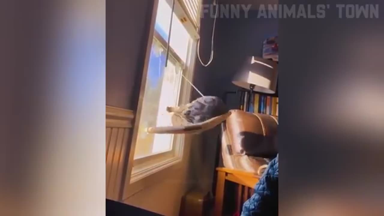 "Monkey Arrest: A Ridiculous Incident That Makes You Shake Your Head"