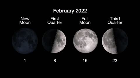 What's Up: February 2022 Skywatching Tips from NASA