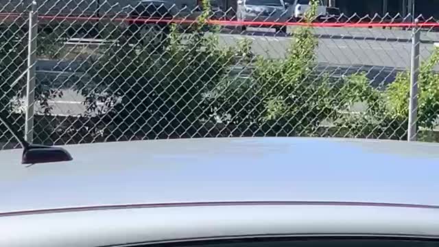 Update VTA Shooting