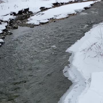 Very clear stream here