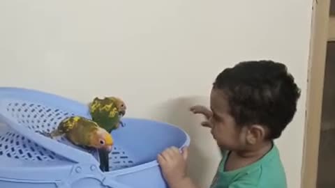 Baby and parrot