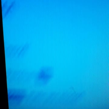 INTERNATIONAL WIDE ELECTION FRAUD VOTING MACHINE CRIME, GEORGIA RUNOFF SHAM ELECTION CRIME 103