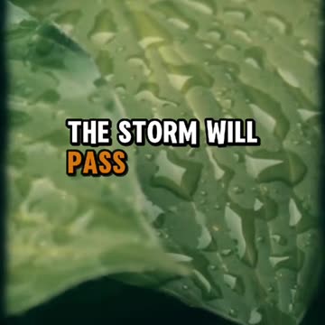 God is saying to you today . .