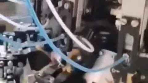 This is how they inject hormones to small chicken, to make them grow faster and heavier.