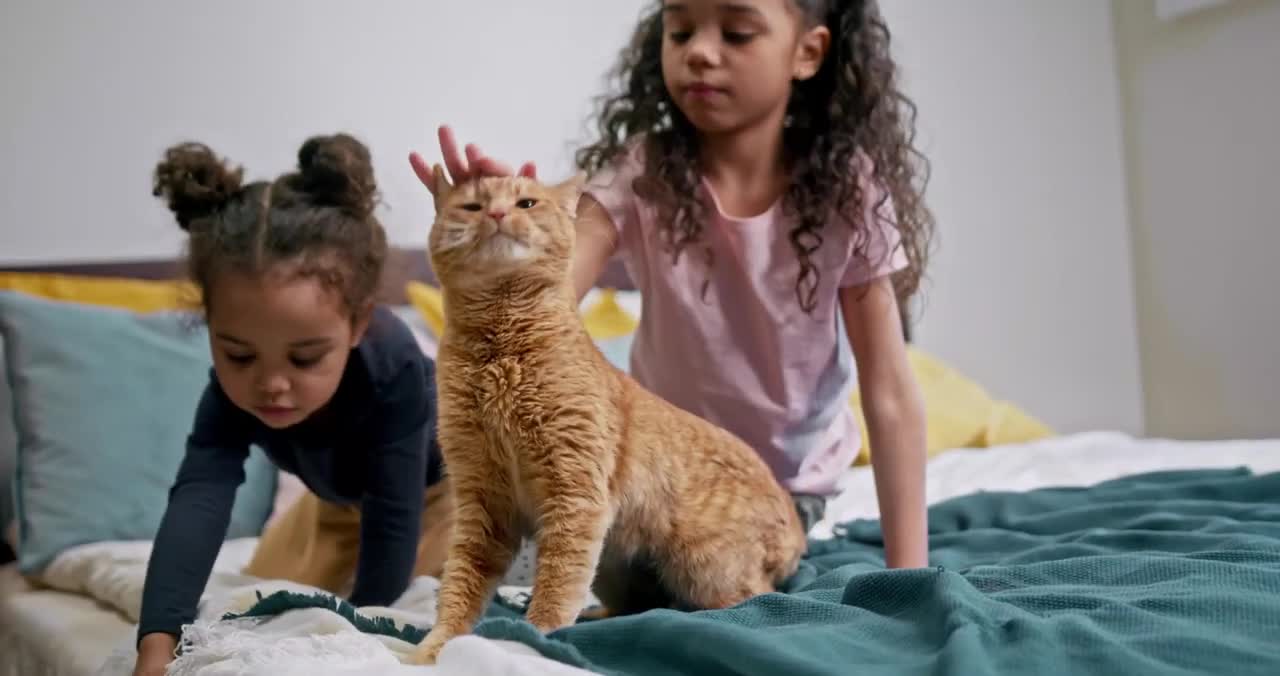 kids vs cat funny video