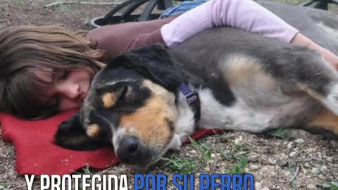 Encuentran a una pequeña de 2 años desaparecida acurrucada y cobijada por su perro