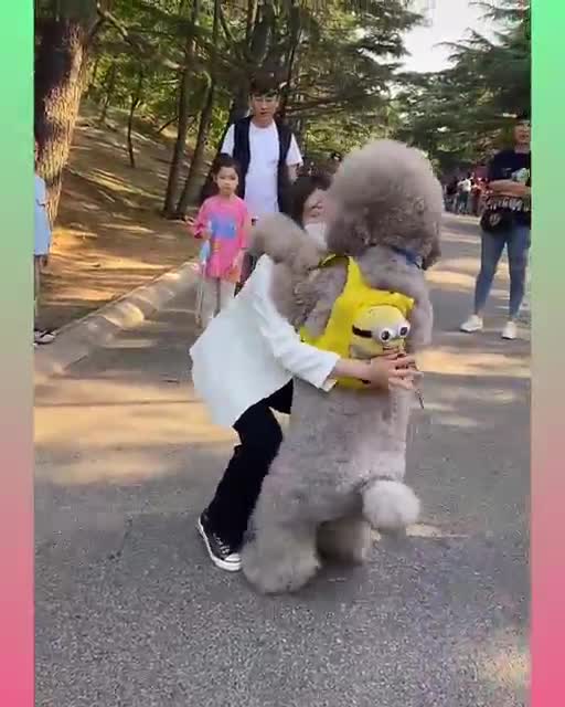 Funny and Cute Dog Video Compilation_27 _#short