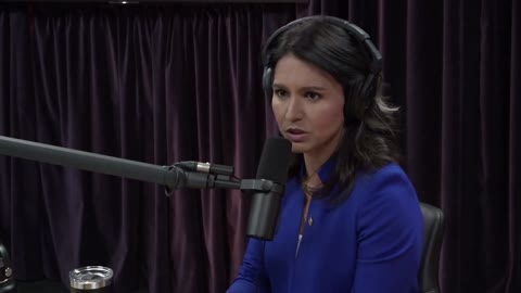 People Warned Tulsi Gabbard About Hillary Clinton