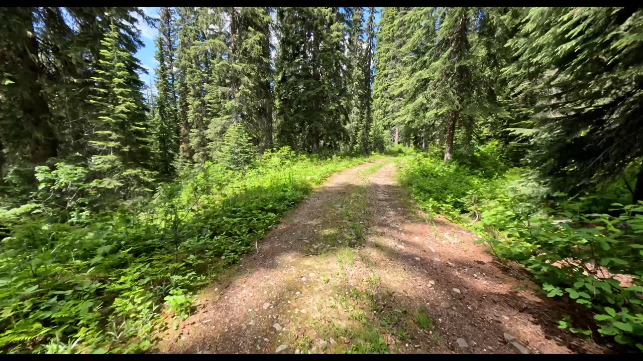 Yard Creek FSR (Malakwa B.C.) Caribou Lake to Lutana Road