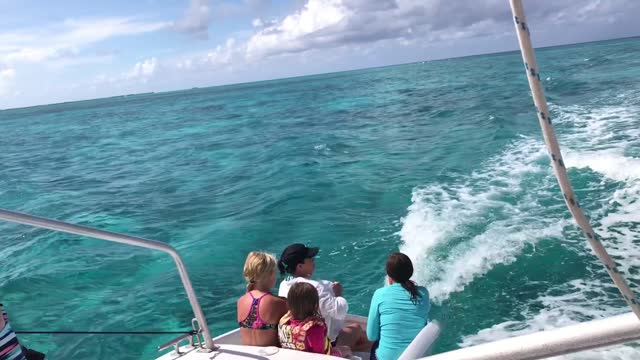 Grand Cayman Catamaran Ride from Rum Point