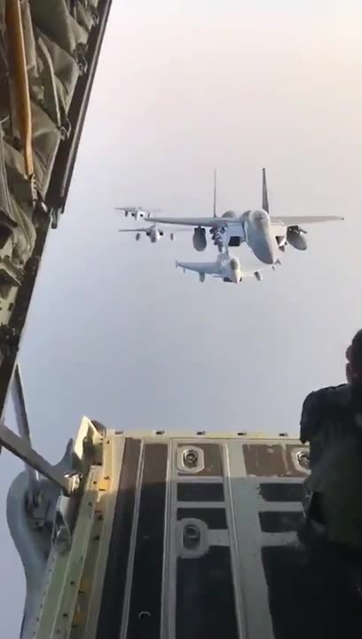 Fighter airplanes posing for a photo #amazingshort #amazingshot #cameraskills #f15