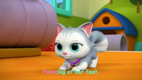 New Kid Song - Cece Saw the Cat