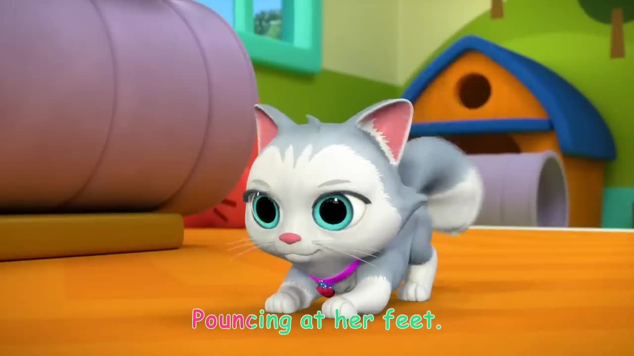 New Kid Song - Cece Saw the Cat