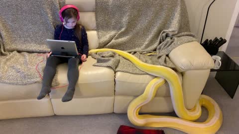 Little Girl and Python Lounge on Couch