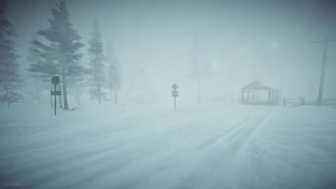 Winter blizzard