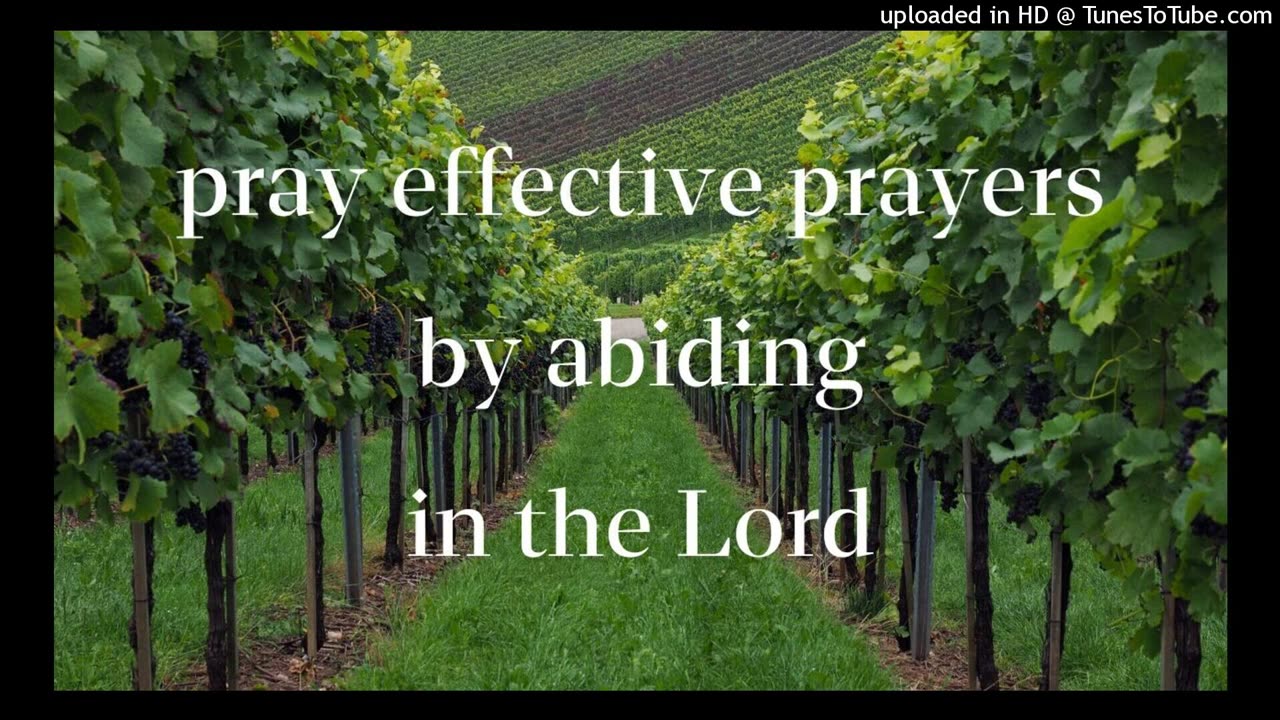 pray effective prayers by abiding in the Lord