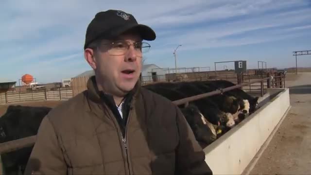 Feeding Cattle for Drought (3-24-18)_Cut