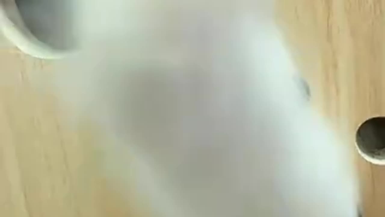 Cute Cats tutorial & Meowing Meow Kittens & Funny Meow Cat #Shorts #catmeow #cattoye