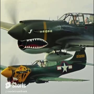P-40 In formation
