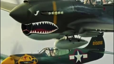 P-40 In formation