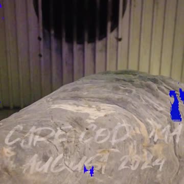 Laser Engraving Seashell - xToolF1 - Vacation Keepsake