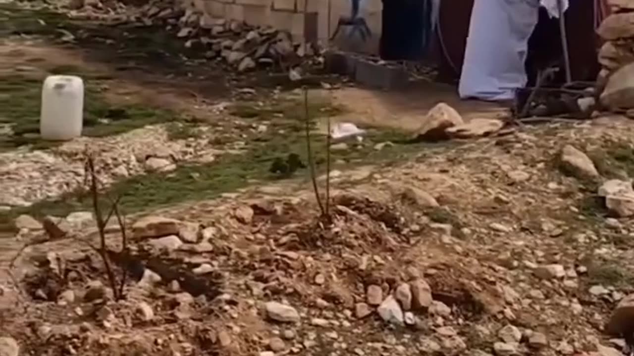 Real ghost caught on camera very dangerous
