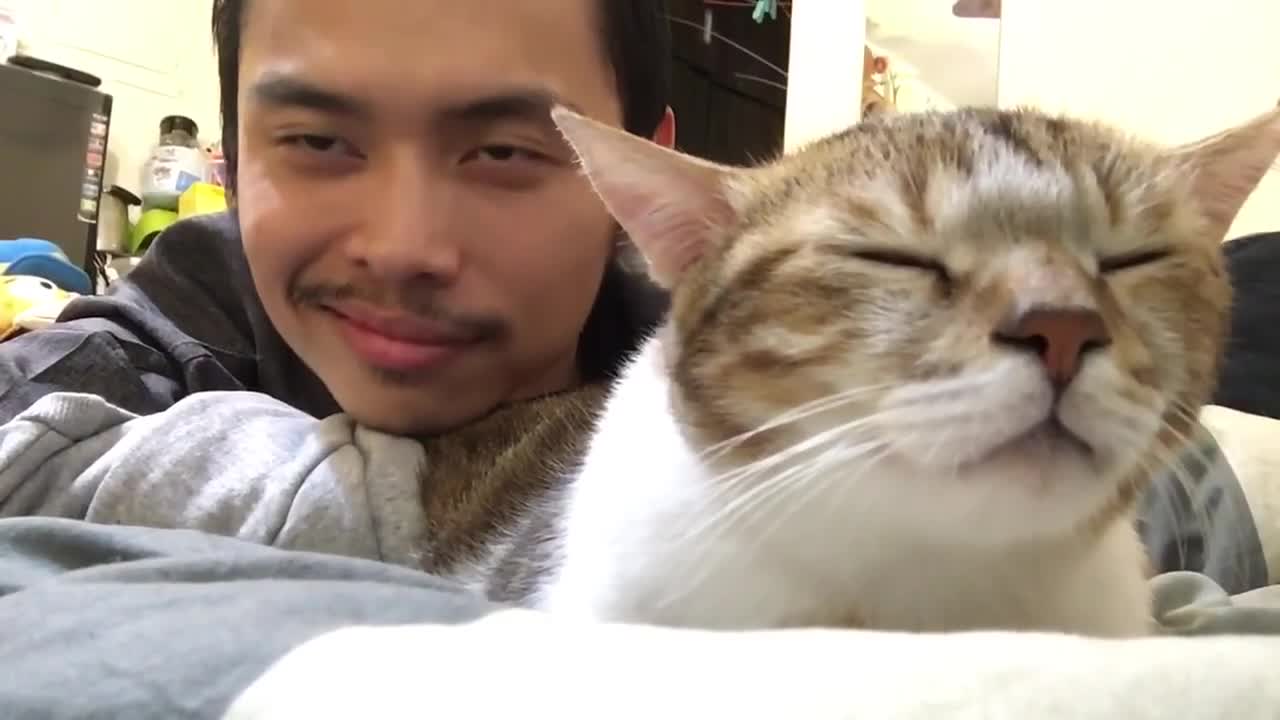 Cat and Owner Vibe Out to Music | Hotline Bling