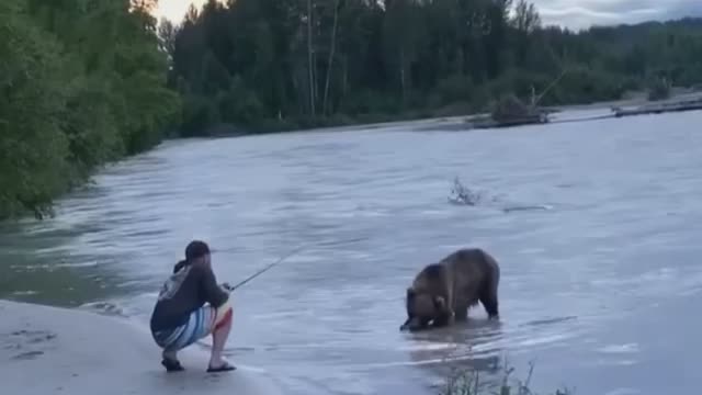 Watch how this Bear snatch the fish from the fishing hook