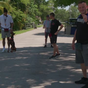 Can We Distract Josh Hart’s Doberman While in an Attention Heel?