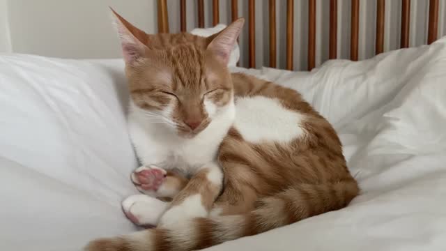 So sleep