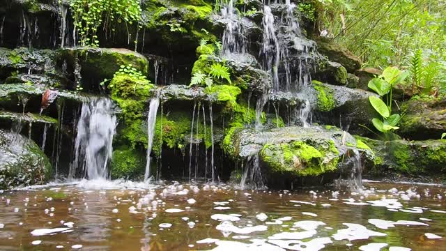 A Water Flowing on Mossy Rocks