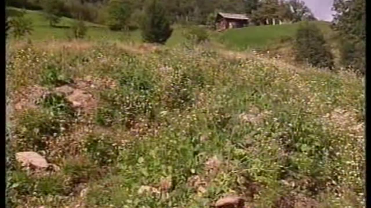 Permaculture Documentary - Farming with terrace and raised beds - Austria